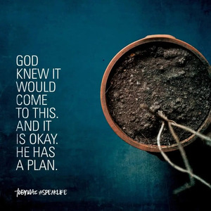 Fundraising Page: Lisa Sims